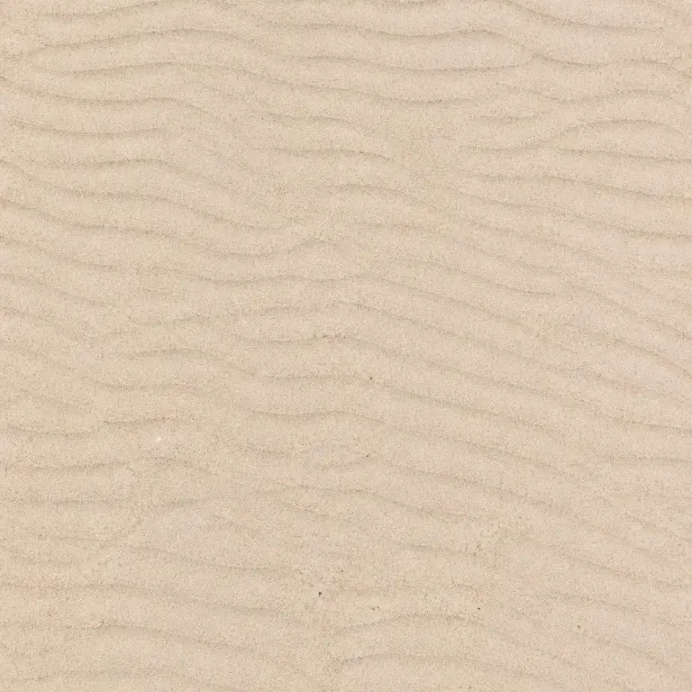 Top-down texture of fine pale sand with wind ripples, faint scratches, and even overhead light