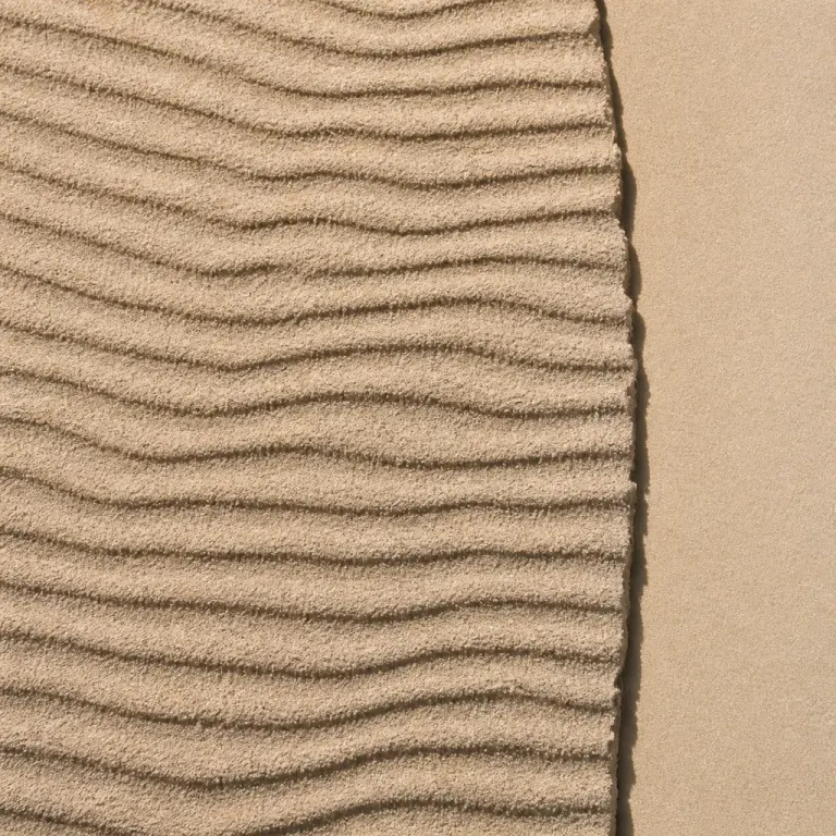 Fine pale sand with wind-made ripple ridges under hard raking sunlight