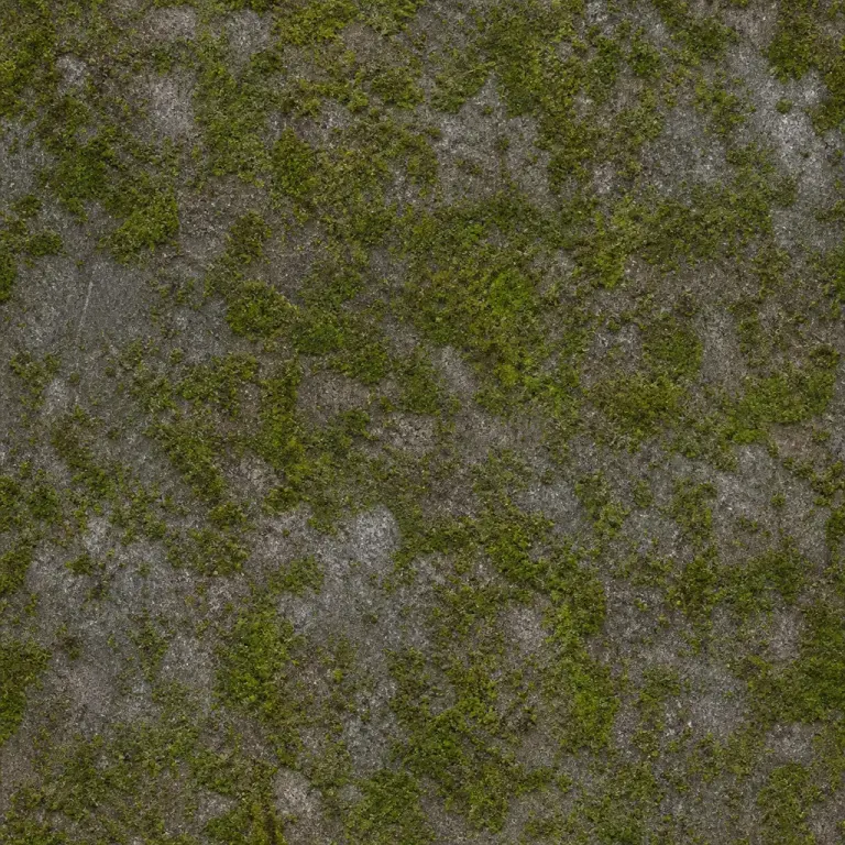 Repeating green moss colonies across weathered gray stone under even top light